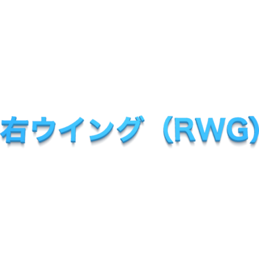 右ウイング（RWG）
