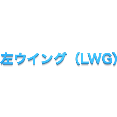 左ウイング（LWG）